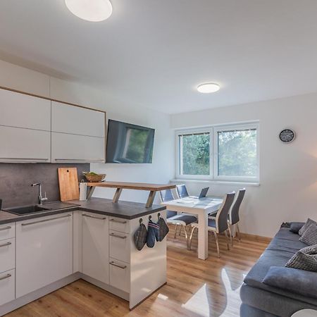 Apartman Černá v Pošumaví المظهر الخارجي الصورة